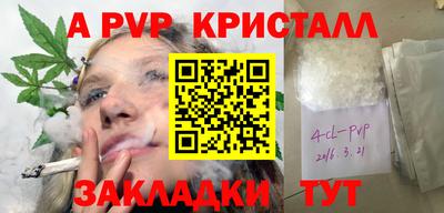 индика Гай