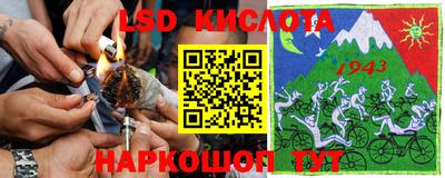 индика Гай