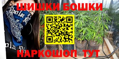 индика Гай
