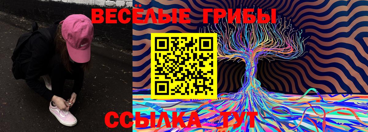 Галлюциногенные грибы Cubensis  Галлюциногенные грибы MAGIC MUSHROOMS  Тюмень  Вход с VPN 
