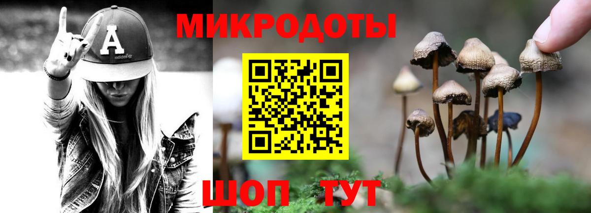 Галлюциногенные грибы Psilocybine cubensis Тюмень